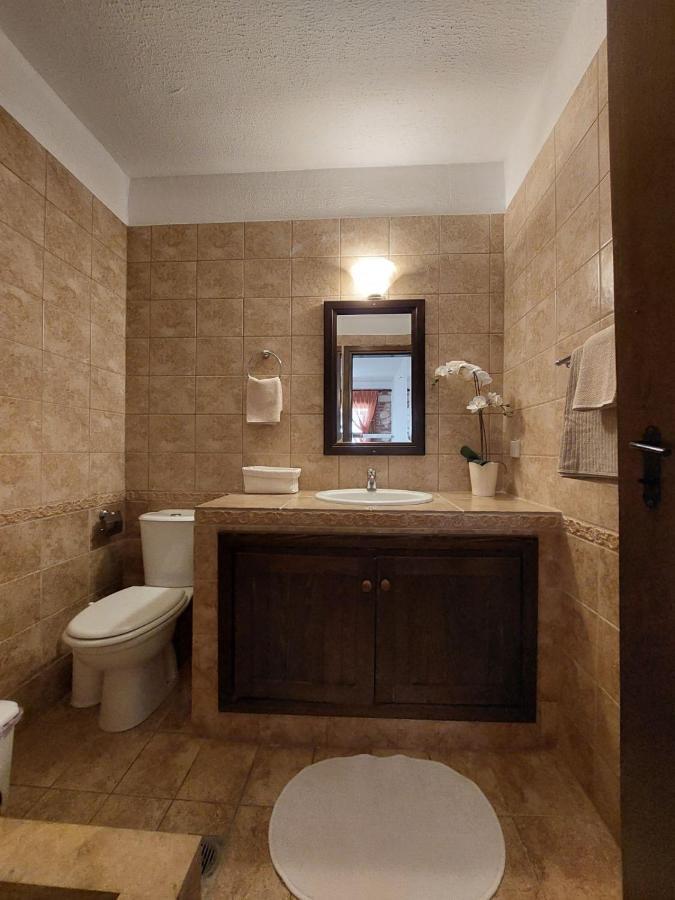 Elpida Stone House Daire Psakoudia Dış mekan fotoğraf